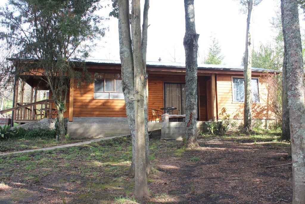 Apart Hotel Puchaley Lafquen Panguipulli Eksteriør bilde